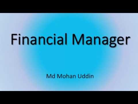 Financial manager