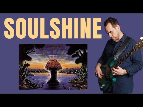 Soulshine Bass Lesson || With SIMPLIFIED Bass Line (No.191)