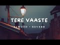 Tere Vaaste (Slowed + Reverb)