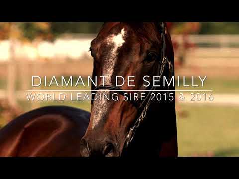 Iniesta S by Diamant de Semilly