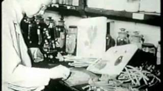 The episode on the 'Origins of Medical Industry' delves into the historical conflict between allopathic doctors and empiri...