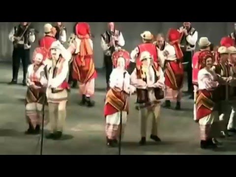 Chepurnen'ka. Halychyna Ensemble