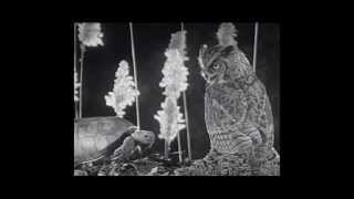 Au nom des cieux galvanisés - Pierre Lapointe, rem