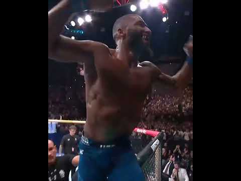 UFC video artwork