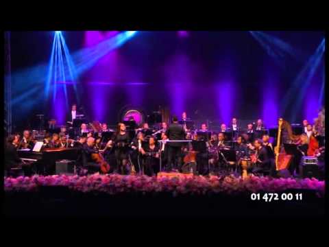 Sting - Fields of gold - Maja Keuc, Dominic Miller, Rok Golob Version