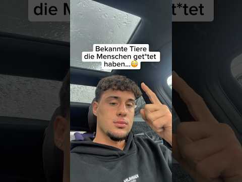 Bekannte Tiere die Menschen getötet haben…😳 | #tiere #shorts #traurig #shorts #fypage #crazy #fyp