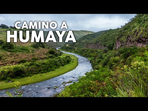 A trip to Humaya, Catamarca (2021)