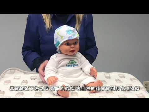 Tortle 第四代防扁帽使用說明