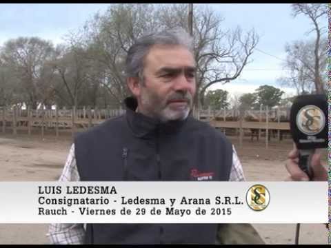 29-05-15 Nota Luis Ledesma - Ledesma y Arana S.R.L. - Rauch