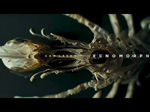 Cam Lasky - Weyland (Original Mix) | XENOMORPH Vol.2 | KWAIOTO Records