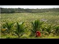 Curso Administração da Pequena Empresa Rural