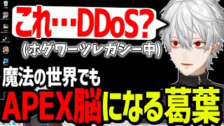 PADのゴブリンにDDoSされてカスタムコードをTwitterで晒される葛葉【にじさんじ/切り抜き/ホグワーツレガシー】