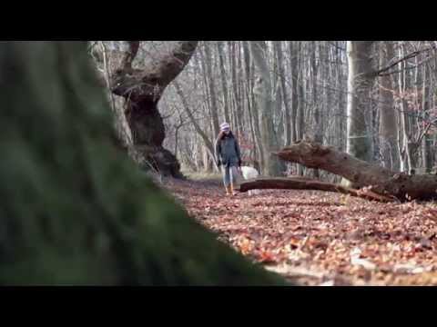 Schüssler Salze Stärkungskur