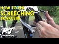 How To Fix Loud Squealing Screeching Bike Brakes ...