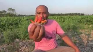 Download lagu pak dul makan cabe 500 biji mp3 Download lagu pak dul makan cabe 500 biji mp3