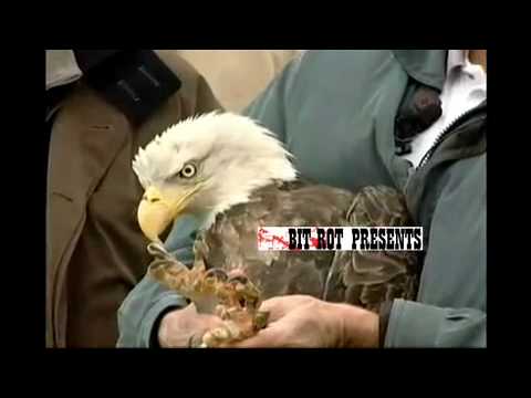 "WHERE EAGLES DARE" trailer