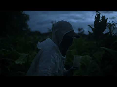 Wacay, el documental sobre las mujeres del tabacal llega a la pantalla del Gaumont