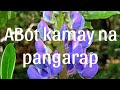 Abot Kamay Na Pangarap February 19 2023 Full Episode 144