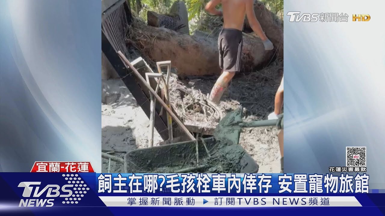 飼主在哪?狗狗「隨車漂流9天」 21高中生赴災區清淤意外救