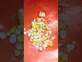 How to say Corn Kernels speaking Abenaki Language🌽#cornkernels #corn #nativeamerican #abenaki