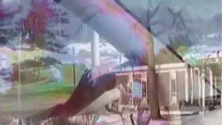 Sorority Noise - &quot;Dirty Ickes&quot;