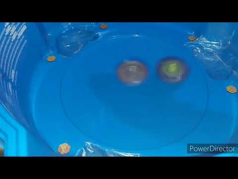 Horusood vs Victory valtrek