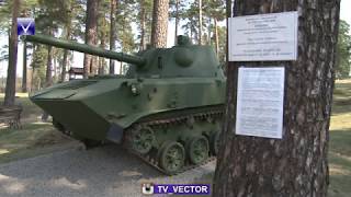 В Боровухе вандалы испортили военную технику в недавно созданном военно-патриотическом парке