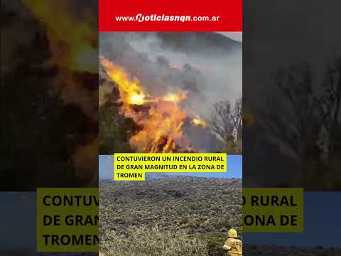 Contuvieron un incendio rural de gran magnitud en la zona de Tromen