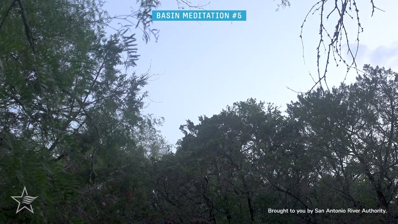 Ambient Nature Sounds at Dusk - Basin Meditation at Huesta Creek
