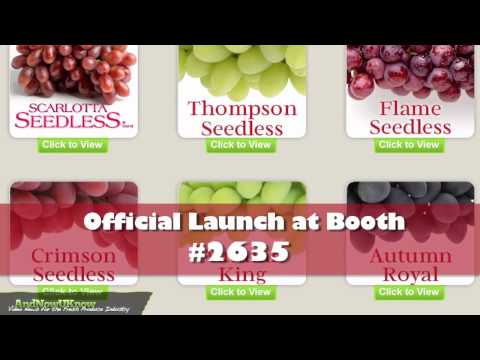 AndNowUKnow: Del Monte Fresh, Sun World &  Hollandia- Qucik Dish