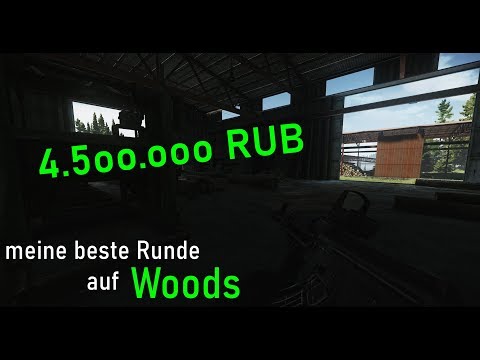 Escape from Tarkov- mein bester Woods Raid