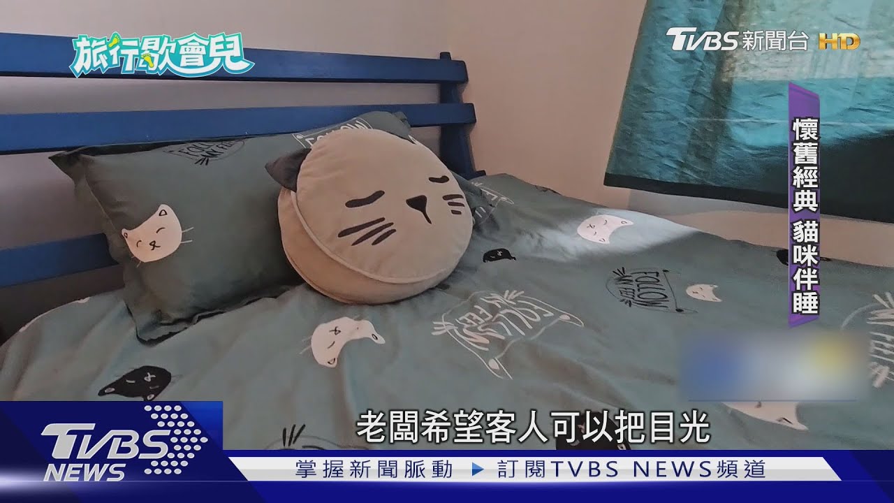 「喵星人」伴你入睡 民宿為中途貓遮風避雨