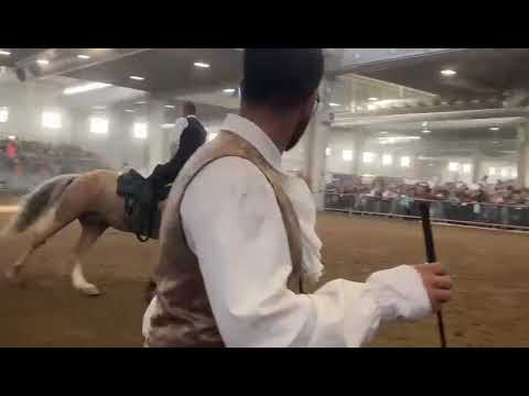 artista montemaggiorese Francesco Di Martino con il suo cavallo Merlin