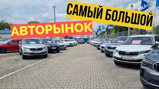 САМЫЙ БОЛЬШОЙ АВТОРЫНОК в СЛОВАКИИ 🇸🇰 Цены, машины и реальность покупки авто в ЕС