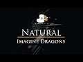 Imagine Dragons - Natural - Piano Karaoke / Sing Along / Cover with Lyrics