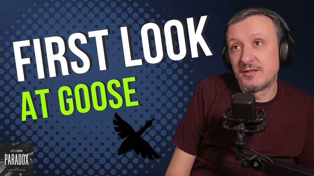 First Look at Goose