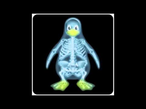 Videoclip de X-Rays (This Is My Life) — POLYSICS