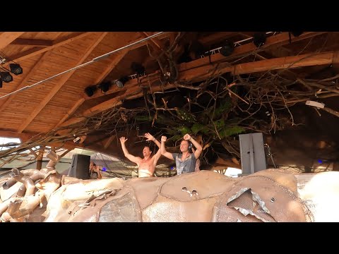 Avalon & Tristan ( Killerwatts ) live at Ozora 2022 ( 4k )