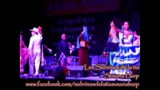 preview picture of video 'Pinotepa Mi Guelaguetza Susana Harp en Iztapalapa'