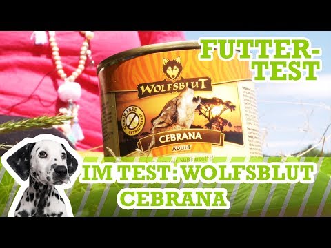 Hundefutter-Test Wolfsblut Cebrana (Nassfutter) Getreidefrei