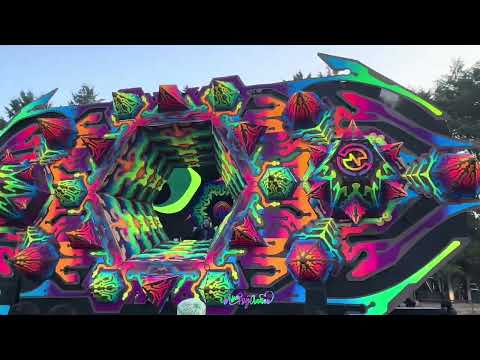 Fungus Funk // Parvati & Nano Records 25th Aniversario 