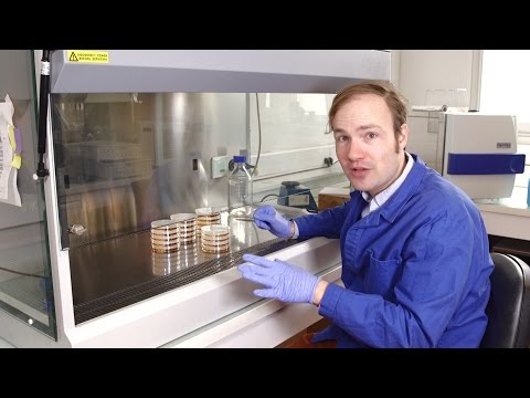 download lagu mp3 mp4 Lb Medium, download lagu Lb Medium gratis, unduh video klip Lb Medium