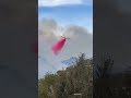 Large airtanker struggles to fly and drop fire retardant on Pacific Palisades wildfire