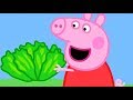 Peppa Pig English Episodes Full Episodes New Compilation 53 Full Episodes