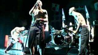 Red Hot Chili Peppers - Subterranean Homesick Blues - Live Off The Map [HD]