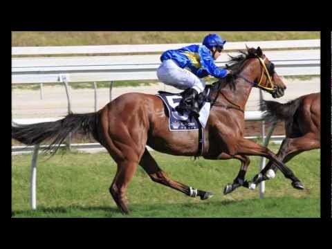 images of railway stakes day 2012