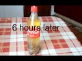Coke mixed with Milk Experiment (Piccolo) - Známka: 4, váha: malá
