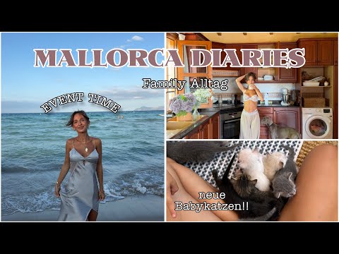 Pablo finds ANOTHER baby cat!! & dreamy mallorca event