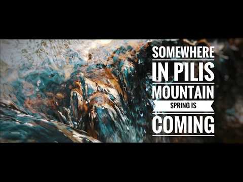 Somewhere in Pilis Mountain - Beautiful morning moments in spring