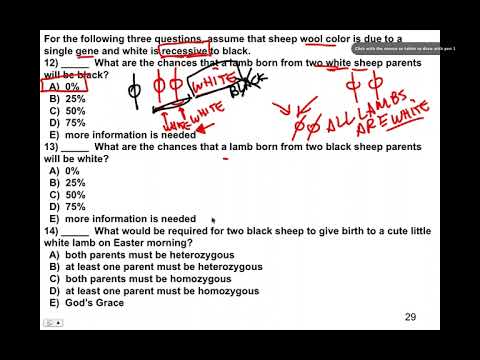 Story Problems, BIO105 Introductory Biology, David Champlin, USM